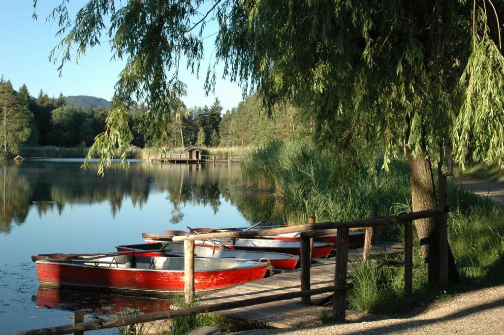 Hotel Waldsee Fiè Dış mekan fotoğraf