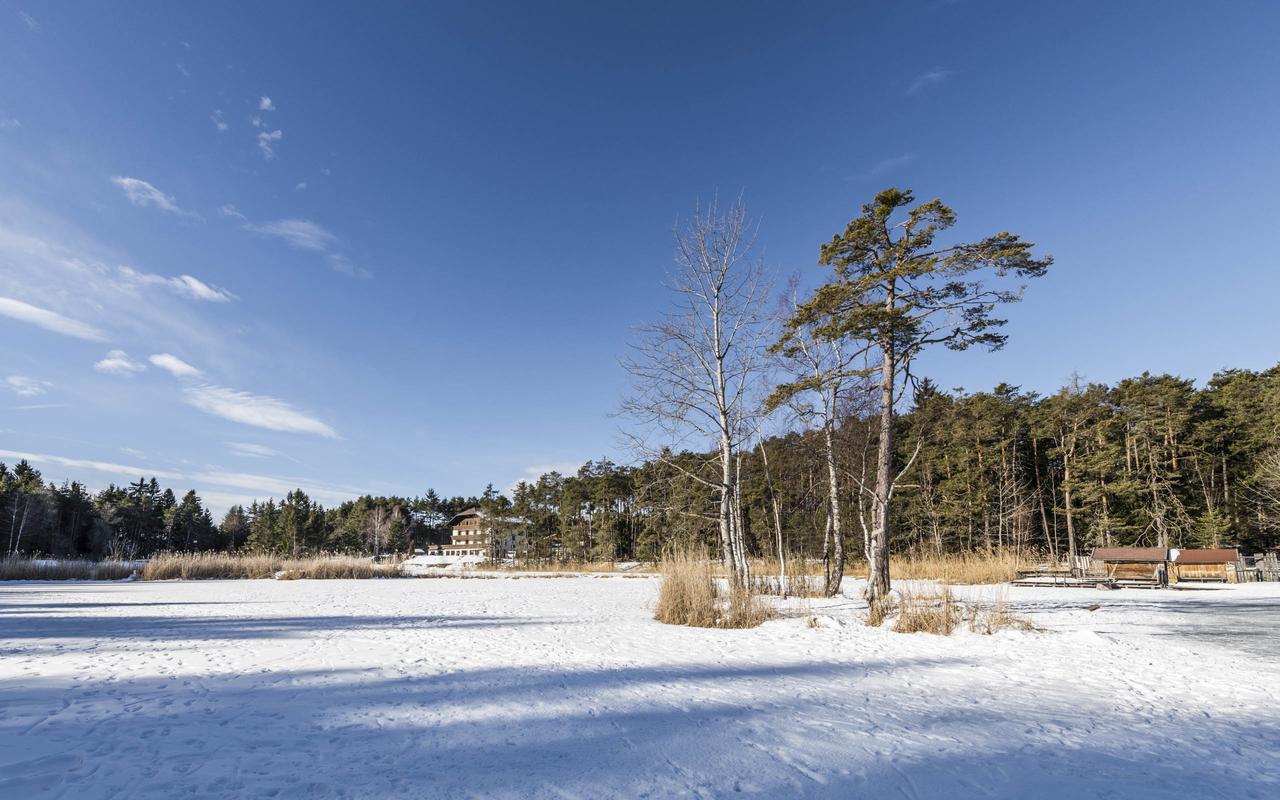 Hotel Waldsee Fiè Dış mekan fotoğraf